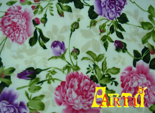welsoft,New