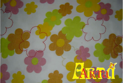 welsoft,New