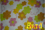 welsoft