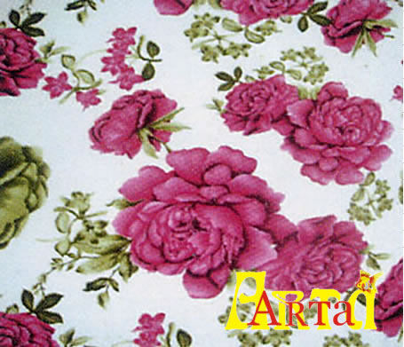 welsoft,New