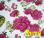welsoft