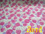 welsoft