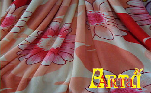welsoft,New