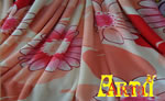 welsoft