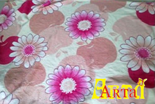 welsoft,New