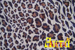 welsoft