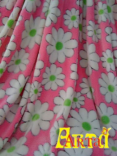 welsoft,New