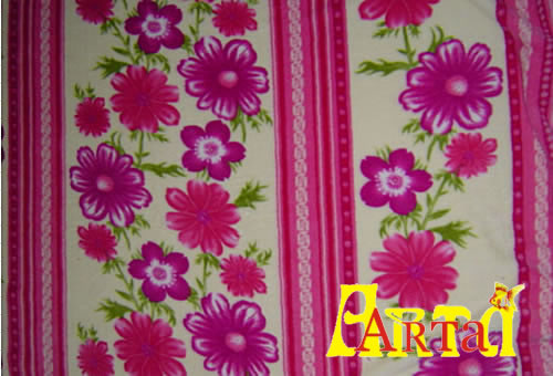 welsoft,New