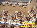welsoft