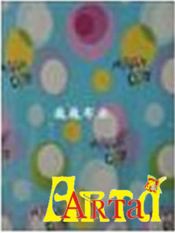 welsoft,New