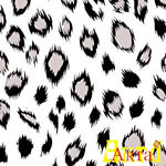 welsoft