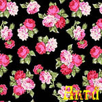 welsoft