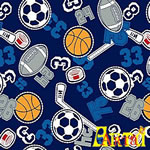 welsoft