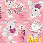 welsoft