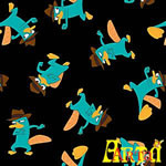 welsoft