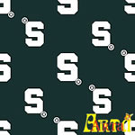 welsoft