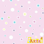 welsoft