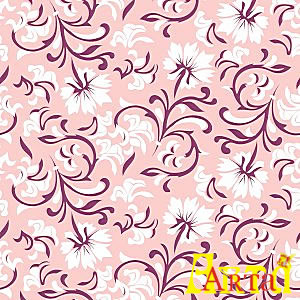 welsoft,08