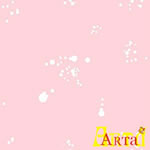 welsoft