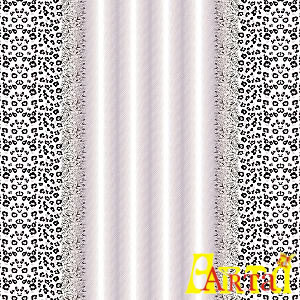 welsoft,10