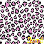 welsoft