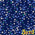 welsoft