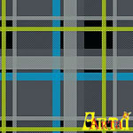 welsoft