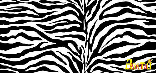 Printed fabric,Printed fabric