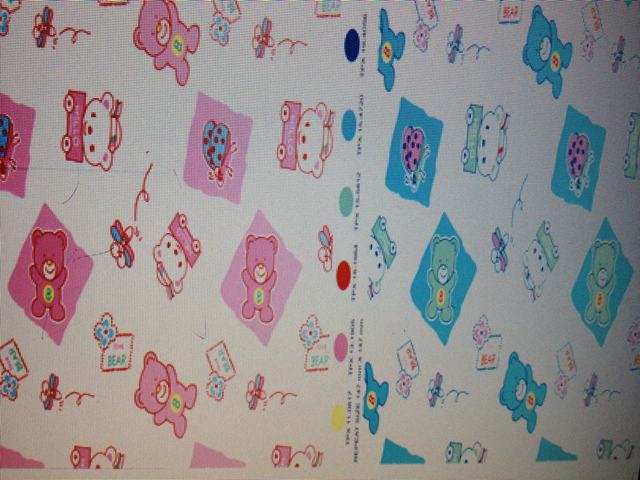 welsoft,13