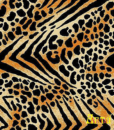 Printed fabric,Printed fabric