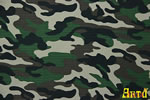 camouflage