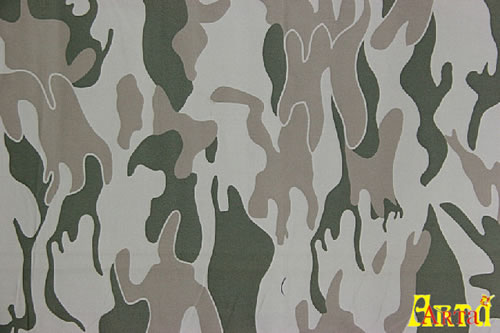 camouflage,camouflage