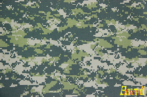 camouflage,camouflage