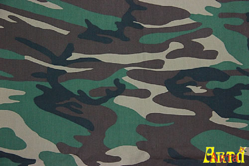 camouflage,camouflage