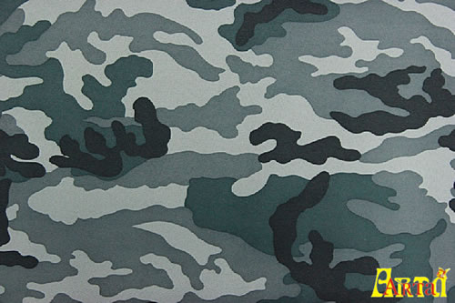 camouflage,camouflage