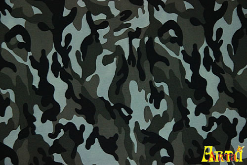 camouflage,camouflage