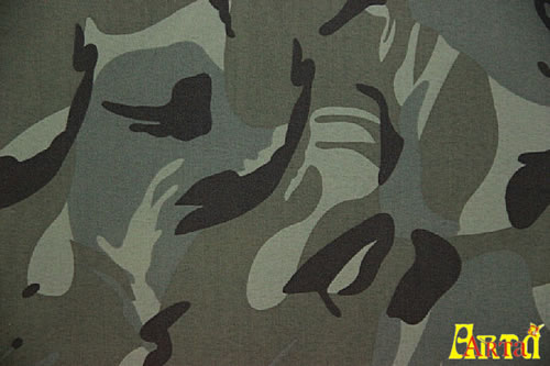 camouflage,camouflage