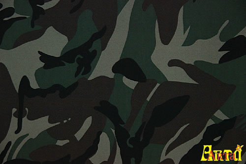 camouflage,camouflage