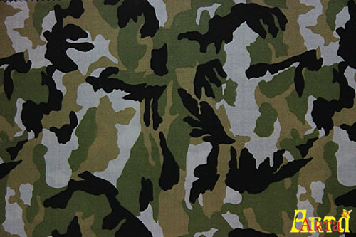 camouflage,camouflage