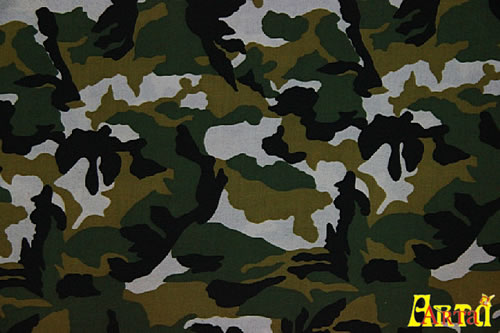 camouflage,camouflage