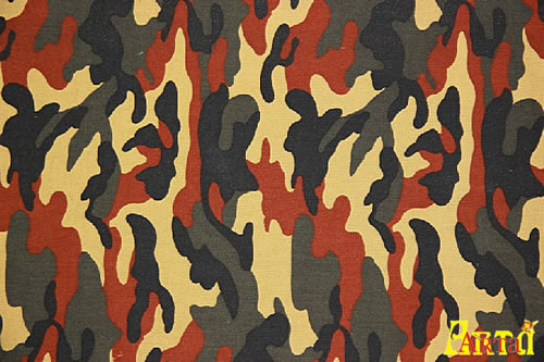 camouflage,camouflage
