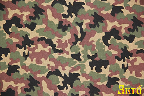 camouflage,camouflage