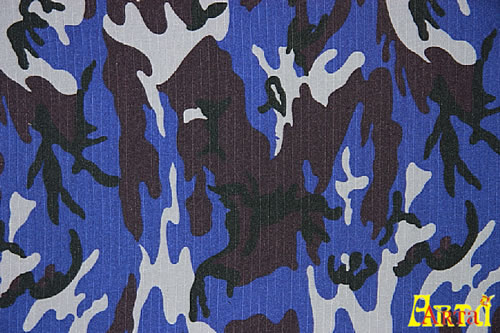 camouflage,camouflage